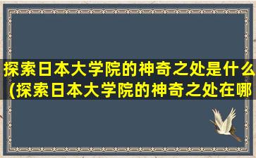 探索日本大学院的神奇之处是什么(探索日本大学院的神奇之处在哪)