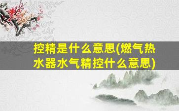 控精是什么意思(燃气热水器水气精控什么意思)