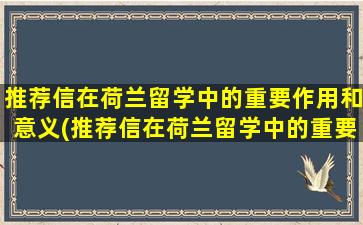 推荐信在荷兰留学中的重要作用和意义(推荐信在荷兰留学中的重要作用有哪些)