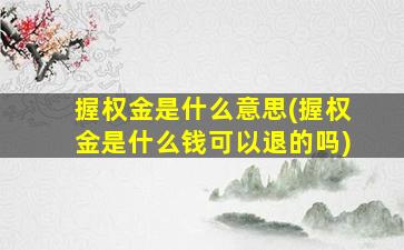 握权金是什么意思(握权金是什么钱可以退的吗)