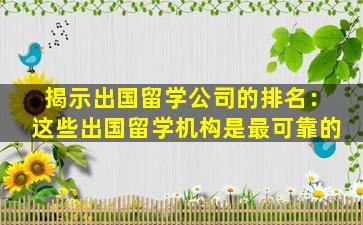 揭示出国留学公司的排名：这些出国留学机构是最可靠的