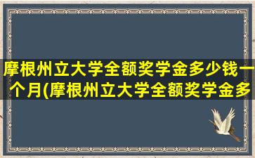 摩根州立大学全额奖学金多少钱一个月(摩根州立大学全额奖学金多少钱啊)