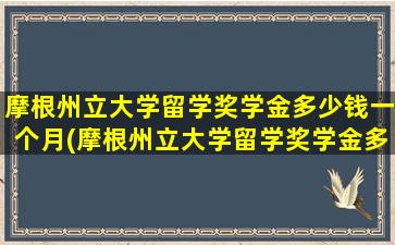 摩根州立大学留学奖学金多少钱一个月(摩根州立大学留学奖学金多少钱啊)