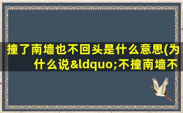 撞了南墙也不回头是什么意思(为什么说“不撞南墙不回头”有什么典故吗)