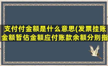 支付付金额是什么意思(发票挂账金额暂估金额应付账款余额分别指什么意思他们之间有什么联系)