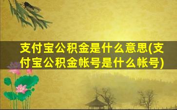 支付宝公积金是什么意思(支付宝公积金帐号是什么帐号)