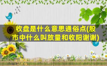 收盘是什么意思通俗点(股市中什么叫放量和收阳谢谢)