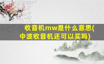 收音机mw是什么意思(中波收音机还可以买吗)