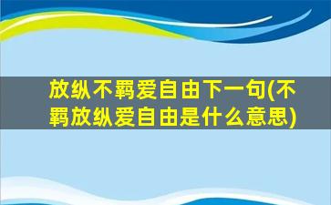 放纵不羁爱自由下一句(不羁放纵爱自由是什么意思)