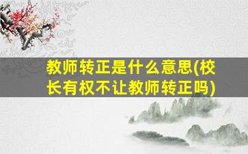 教师转正是什么意思(校长有权不让教师转正吗)