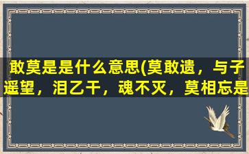 敢莫是是什么意思(莫敢遗，与子遥望，泪乙干，魂不灭，莫相忘是什么意思)