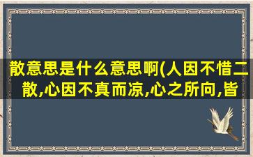 散意思是什么意思啊(人因不惜二散,心因不真而凉,心之所向,皆是过往,目之所及,皆是遗憾,是什么意思)