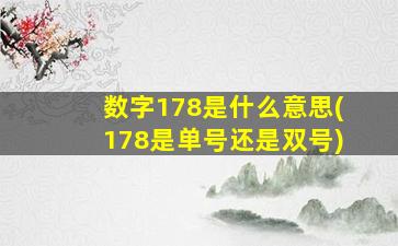 数字178是什么意思(178是单号还是双号)