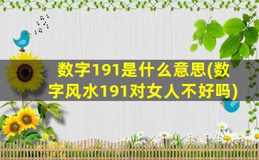 数字191是什么意思(数字风水191对女人不好吗)