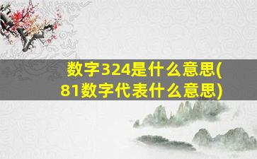 数字324是什么意思(81数字代表什么意思)