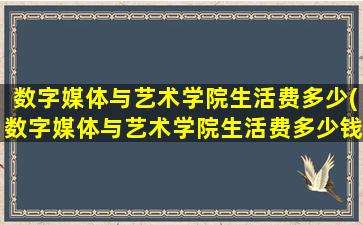 数字媒体与艺术学院生活费多少(数字媒体与艺术学院生活费多少钱一年)