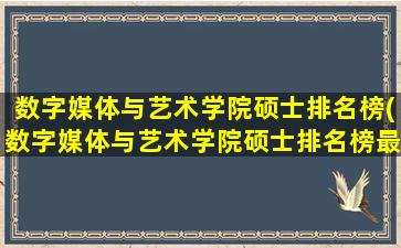 数字媒体与艺术学院硕士排名榜(数字媒体与艺术学院硕士排名榜最新)