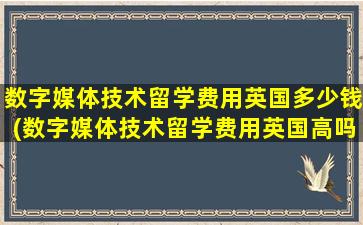 数字媒体技术留学费用英国多少钱(数字媒体技术留学费用英国高吗)