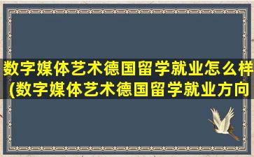 数字媒体艺术德国留学就业怎么样(数字媒体艺术德国留学就业方向)