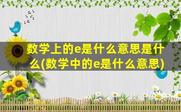 数学上的e是什么意思是什么(数学中的e是什么意思)