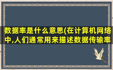 数据率是什么意思(在计算机网络中,人们通常用来描述数据传输率的符号是什么)