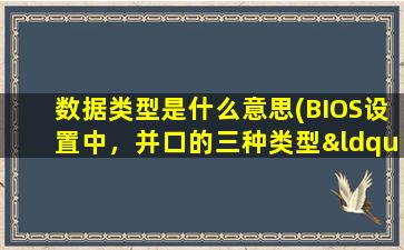 数据类型是什么意思(BIOS设置中，并口的三种类型“Normal”“EPP”“ECP”各是什么意思)