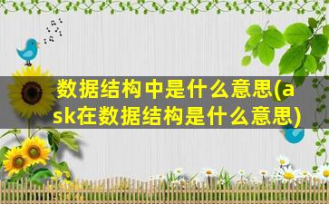 数据结构中是什么意思(ask在数据结构是什么意思)