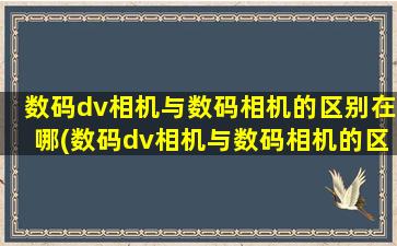 数码dv相机与数码相机的区别在哪(数码dv相机与数码相机的区别)