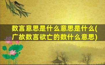 数言意思是什么意思是什么(广故数言欲亡的数什么意思)