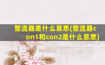 整流器是什么意思(整流器con1和con2是什么意思)