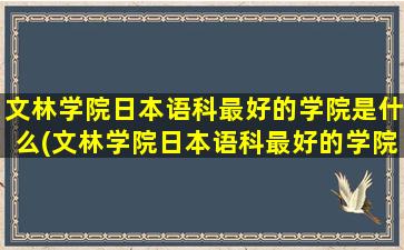 文林学院日本语科最好的学院是什么(文林学院日本语科最好的学院有哪些)