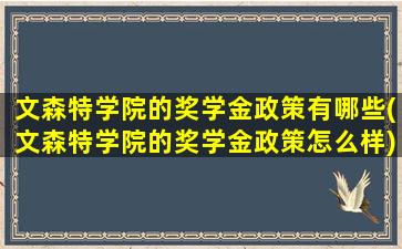 文森特学院的奖学金政策有哪些(文森特学院的奖学金政策怎么样)