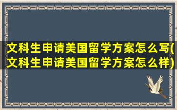 文科生申请美国留学方案怎么写(文科生申请美国留学方案怎么样)