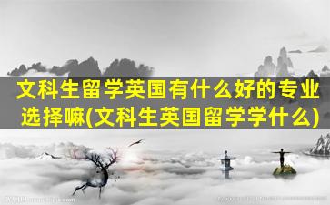 文科生留学英国有什么好的专业选择嘛(文科生英国留学学什么)