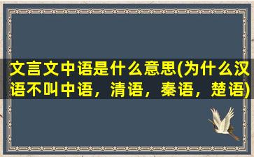 文言文中语是什么意思(为什么汉语不叫中语，清语，秦语，楚语)