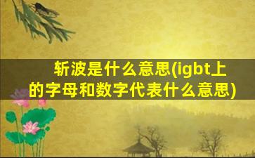 斩波是什么意思(igbt上的字母和数字代表什么意思)