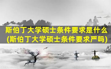 斯伯丁大学硕士条件要求是什么(斯伯丁大学硕士条件要求严吗)