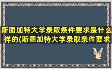 斯图加特大学录取条件要求是什么样的(斯图加特大学录取条件要求是什么样的)