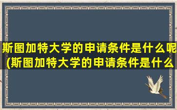 斯图加特大学的申请条件是什么呢(斯图加特大学的申请条件是什么意思)