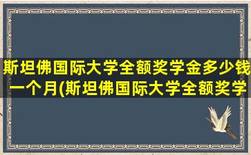 斯坦佛国际大学全额奖学金多少钱一个月(斯坦佛国际大学全额奖学金多少钱啊)