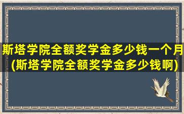 斯塔学院全额奖学金多少钱一个月(斯塔学院全额奖学金多少钱啊)