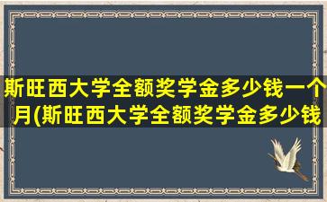 斯旺西大学全额奖学金多少钱一个月(斯旺西大学全额奖学金多少钱啊)