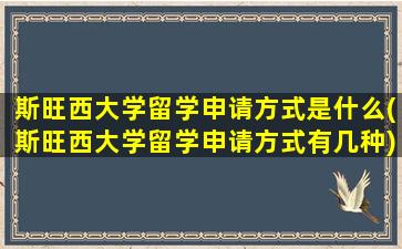 斯旺西大学留学申请方式是什么(斯旺西大学留学申请方式有几种)