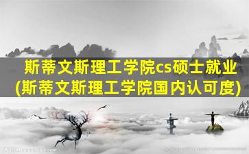 斯蒂文斯理工学院cs硕士就业(斯蒂文斯理工学院国内认可度)