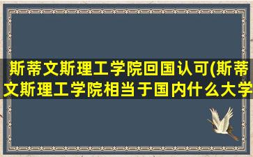 斯蒂文斯理工学院回国认可(斯蒂文斯理工学院相当于国内什么大学)