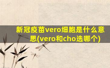 新冠疫苗vero细胞是什么意思(vero和cho选哪个)