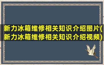 新力冰箱维修相关知识介绍图片(新力冰箱维修相关知识介绍视频)