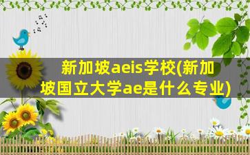 新加坡aeis学校(新加坡国立大学ae是什么专业)