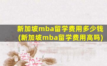 新加坡mba留学费用多少钱(新加坡mba留学费用高吗)