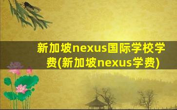 新加坡nexus国际学校学费(新加坡nexus学费)